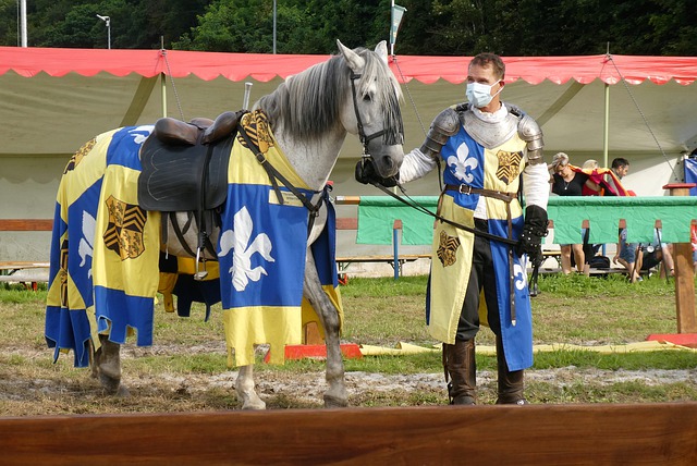 调整以及有 调整以及有