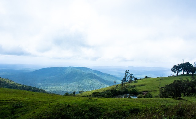 精心布置了 精心布置了