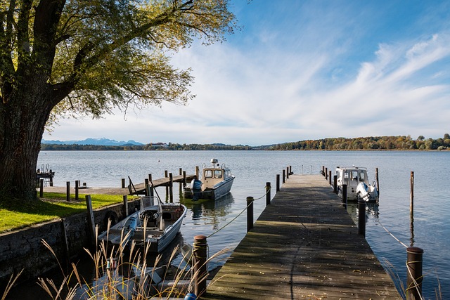 这不仅体现 这不仅体现