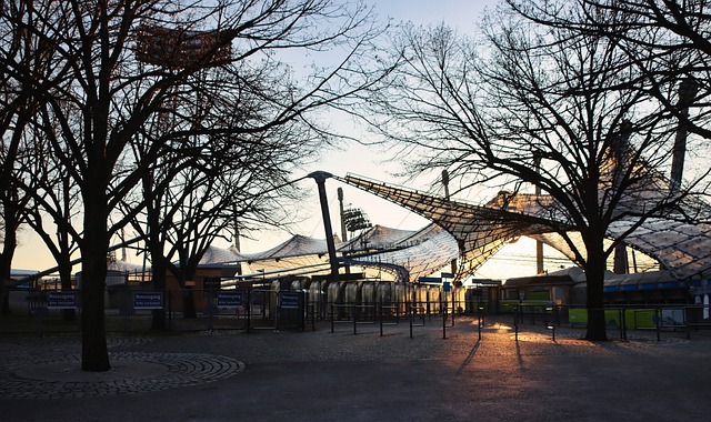 还为球员自 还为球员自