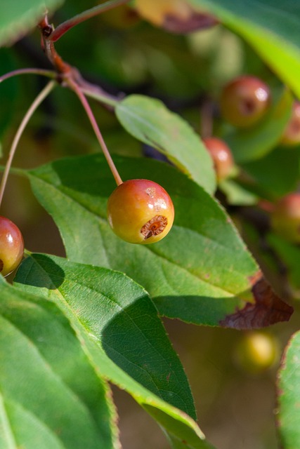 全不相同 全不相同