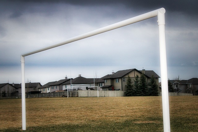 阿维斯塔的 阿维斯塔的