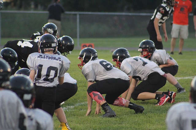 外部因素诸 外部因素诸